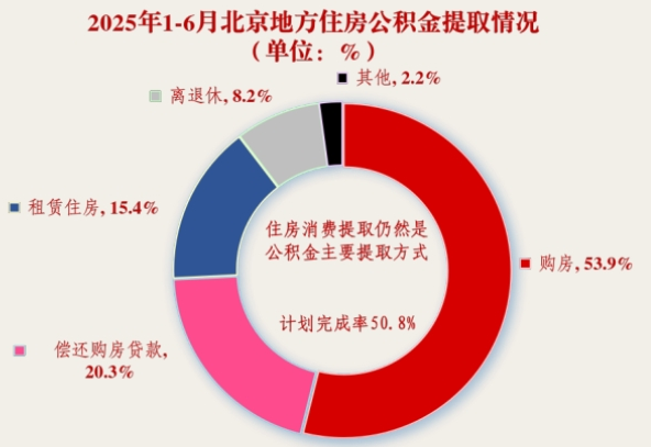 2025年1-6月提取情况
